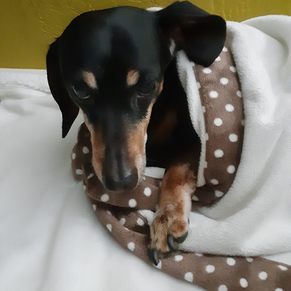 Meet your Posher, Kim - Picture 2 of 3